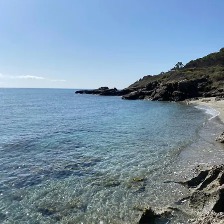 T2 Vue Corse N193 דירה *