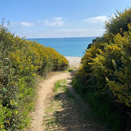 Διαμέρισμα T2 Vue Corse N193 *