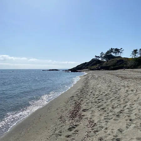 Appartement T2 Vue Corse N193 *