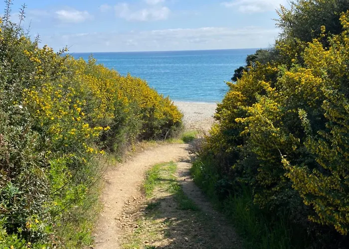 Appartement T2 Vue Corse N193 *